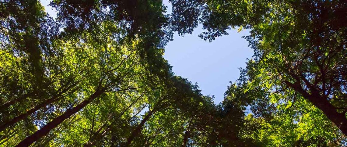 Ecologia