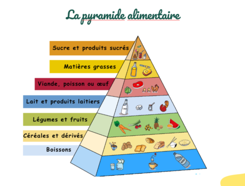 Piramide alimentare