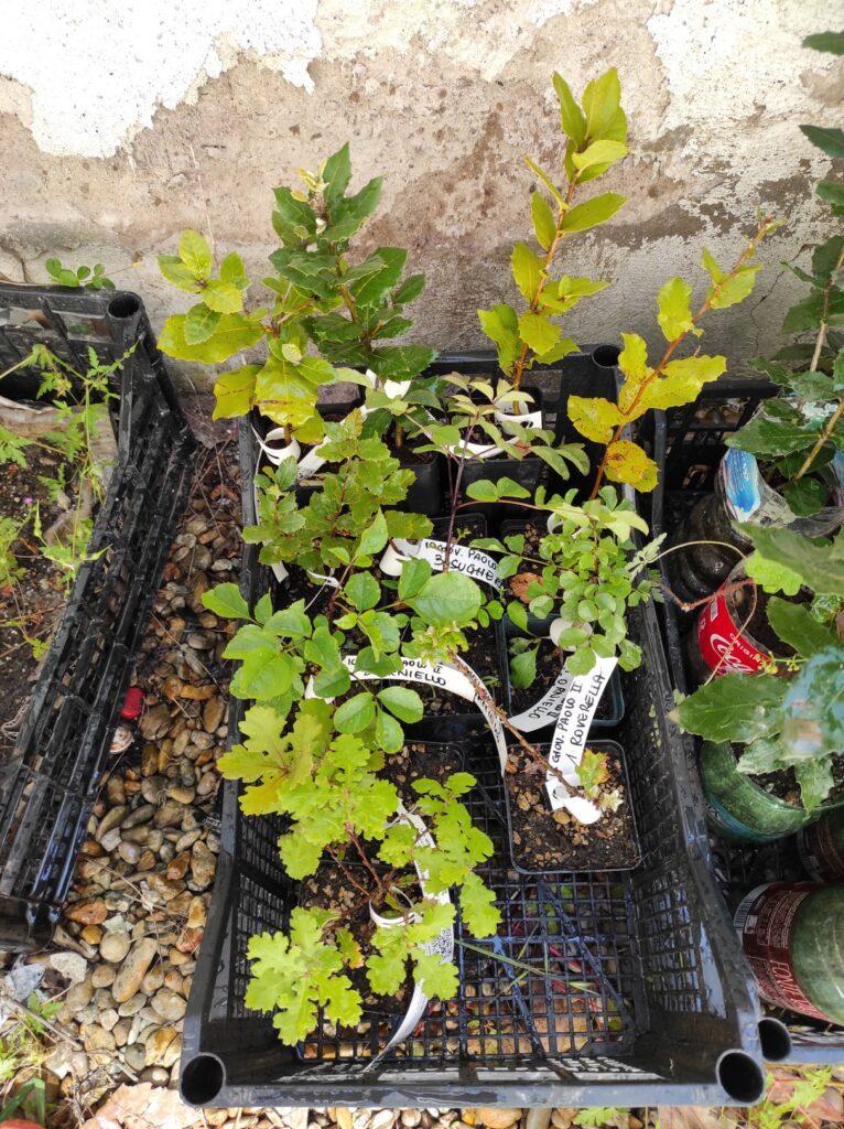 Questa immagine ha l'attributo alt vuoto; il nome del file è 1654277221530-1-766x1024.jpg