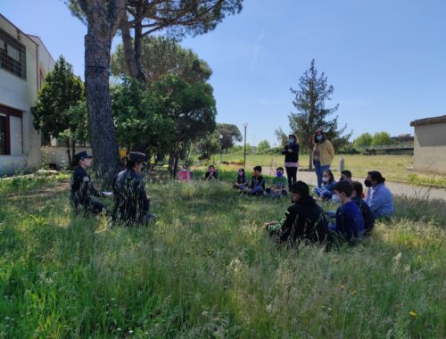carabinieri biodiversità