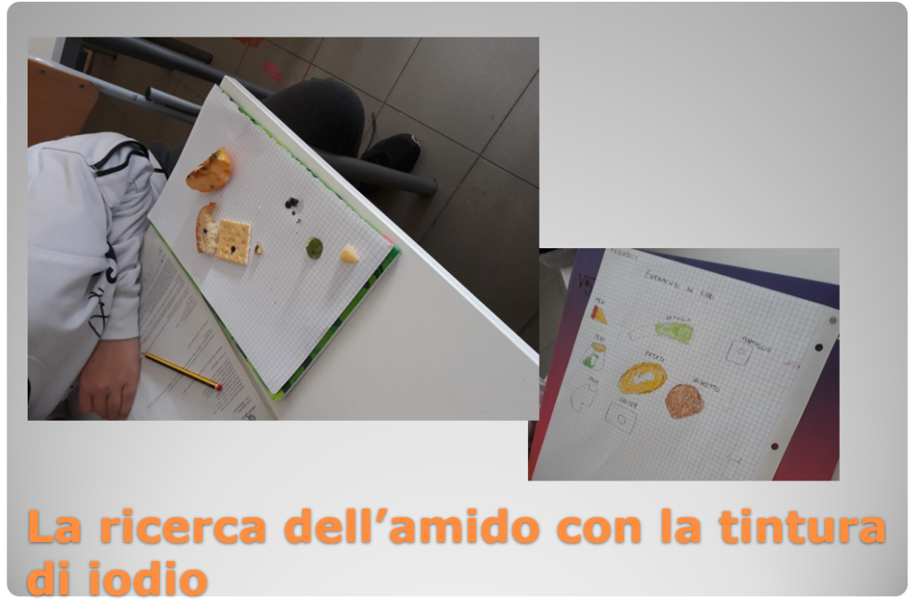 esperimento amido 2