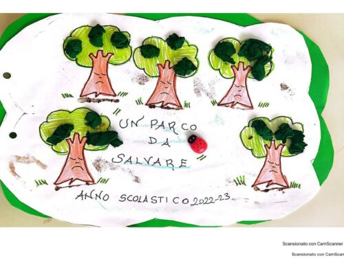 un parco da salvare