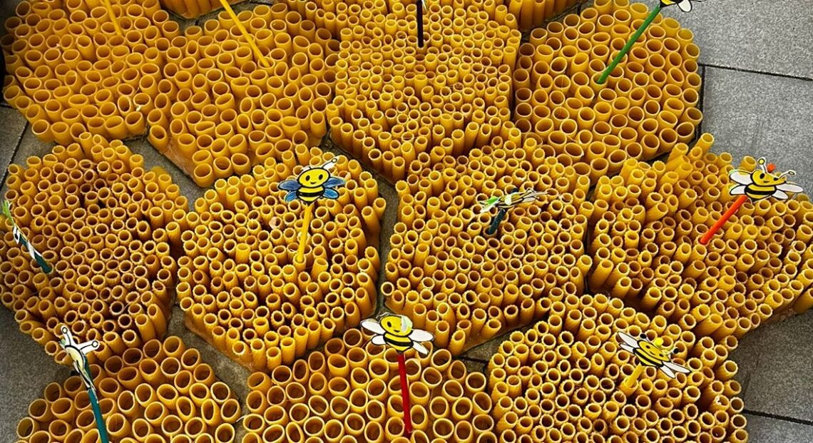 alveari fatti con la pasta