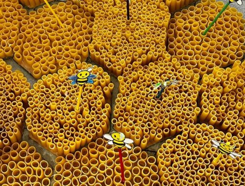 alveari fatti con la pasta