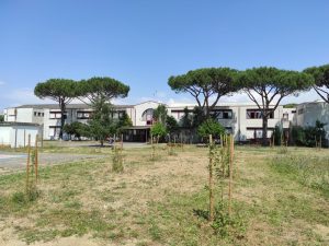 giardino_2